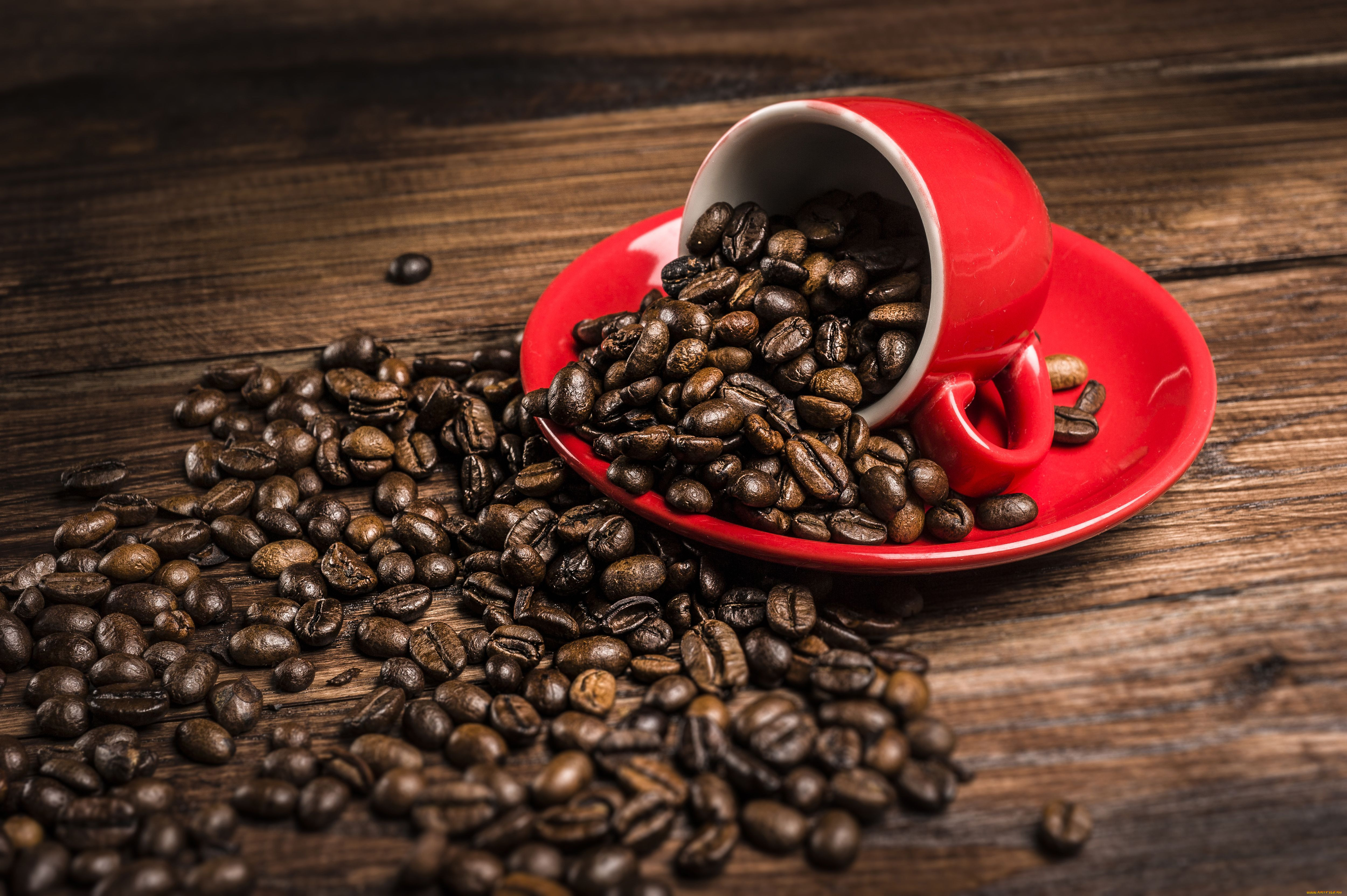 Кофе картинки. Кофе в зернах. Кофе «зерновой». День кофейных зерен. Кофе зёрна и чашечка.